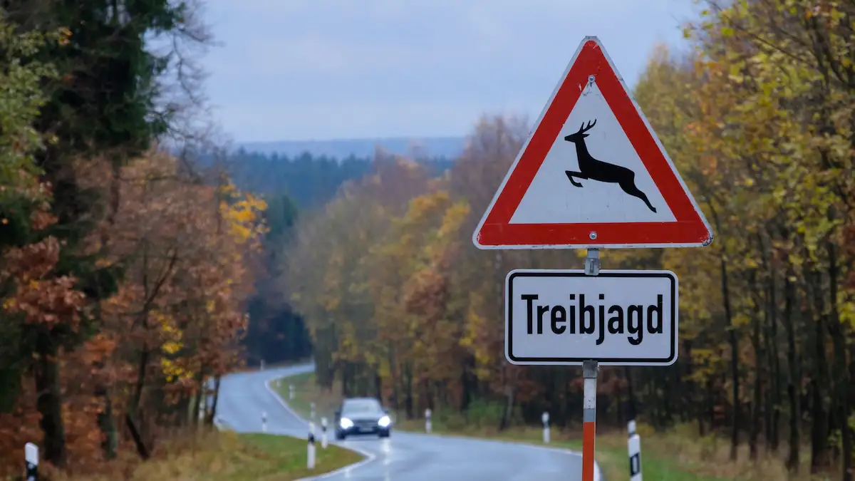 Lappjagd Symbolbild: Ein Treibjagdschild neben einer Straße im Wald