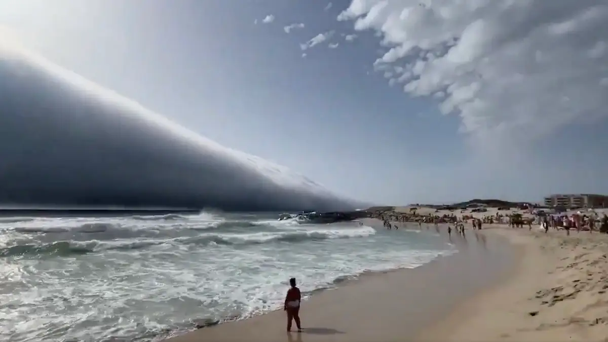 Rollwokle am Strand von Portugal