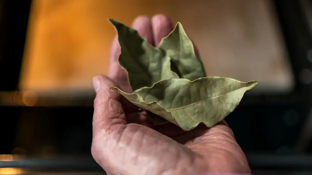Lorbeerblatt: Mehrere Blätter in einer Hand vor einem geöffneten Ofen