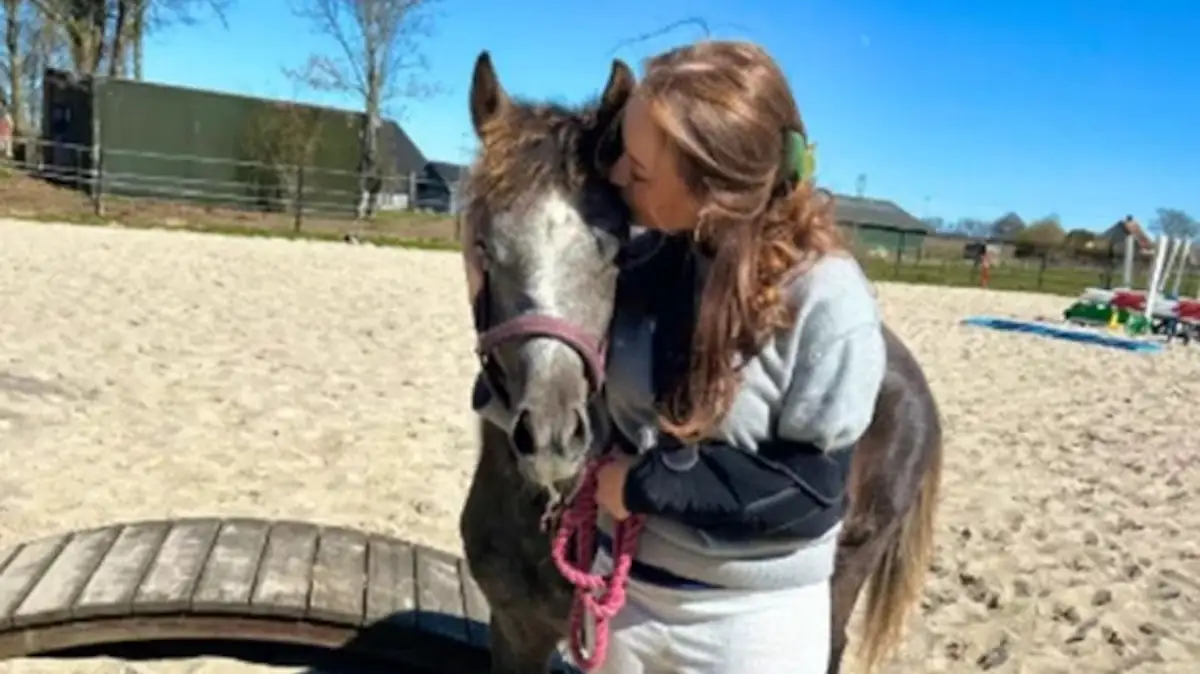 Pony der Familie Suhl wurde als Futter an Zoo gespendet
