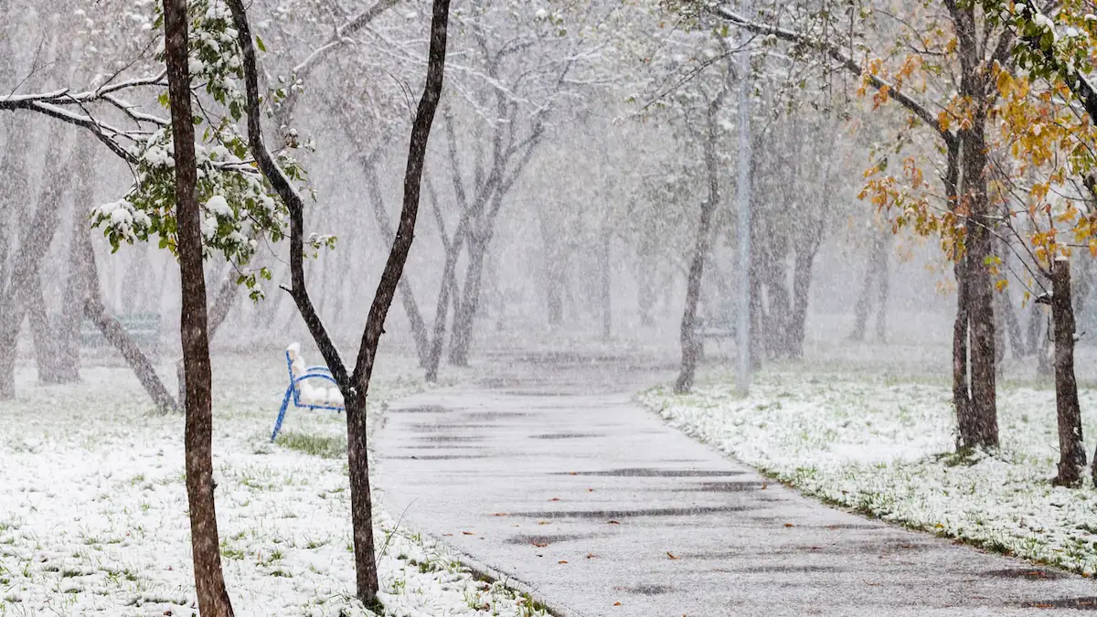Erster Schneefall im Stadtpark am Herbsttag