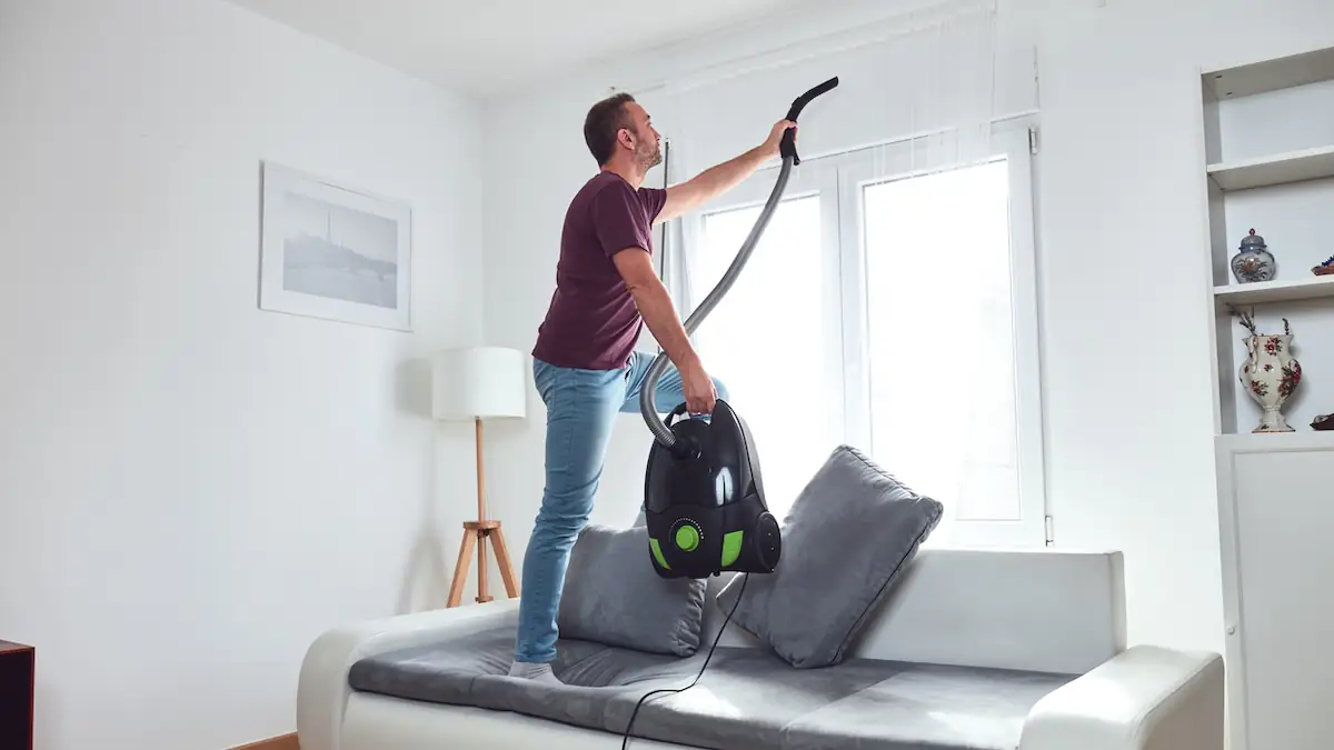 Man saugt Spinne mit Staubsauger ein