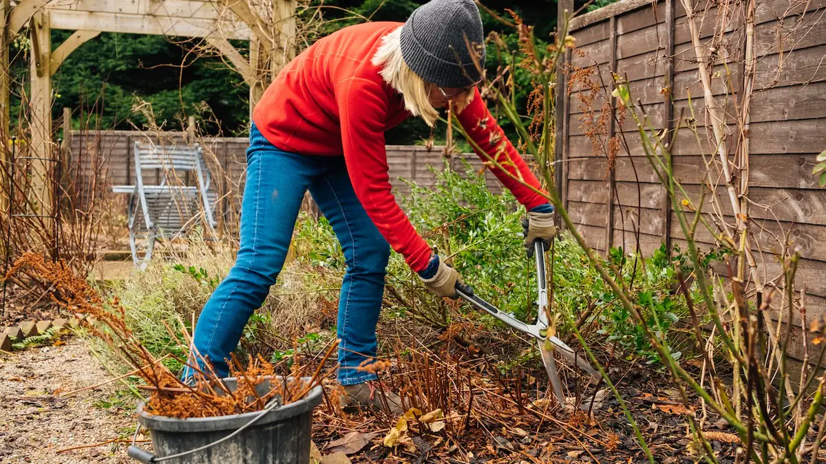 Frau bei Gartenarbeit im Herbst