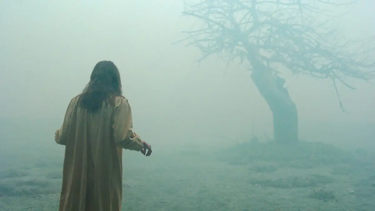 Szene aus dem Horrorfilm „Der Exorzismus von Emiliy Rose“, in der eine junge Frau bei Nebel im Nachthemd auf einen toten Baum zuläuft