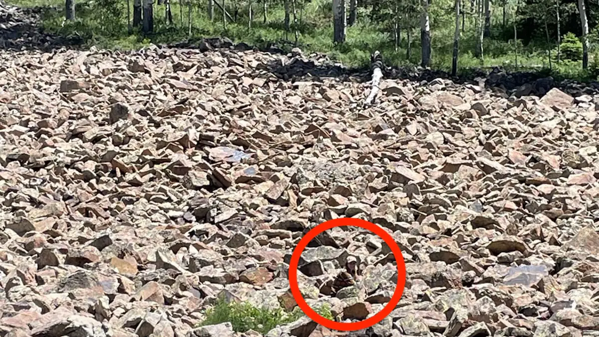 Wimmelbild mit versteckter Frau zwischen den Felsen, die rot umkreist wurde