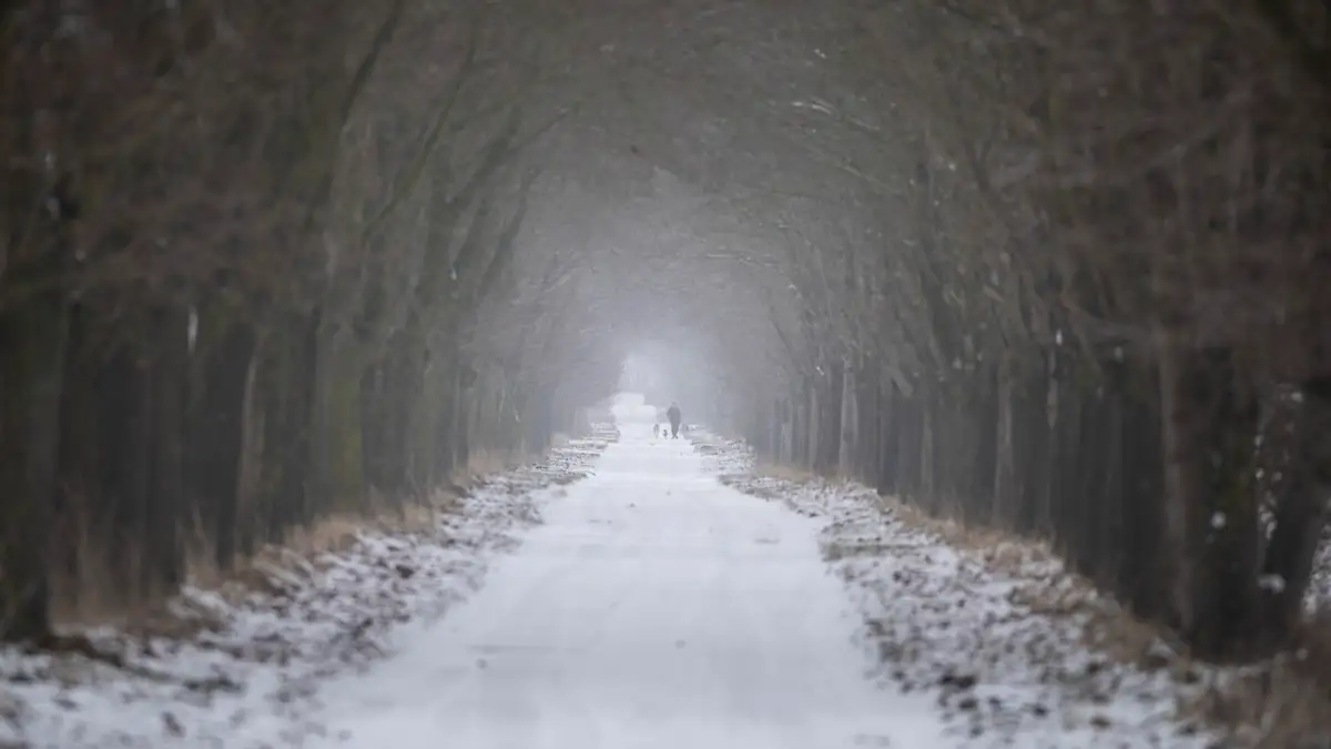 Winterwetter beeinflusst Sommer: Spaziergängerin im Winter