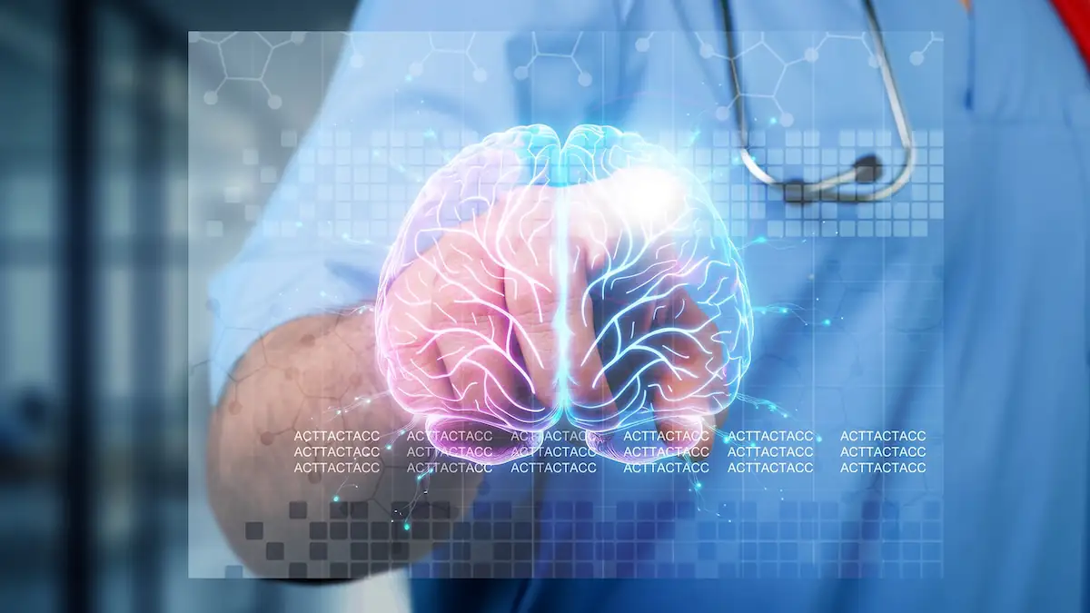 Demenzgehirn Darstellung