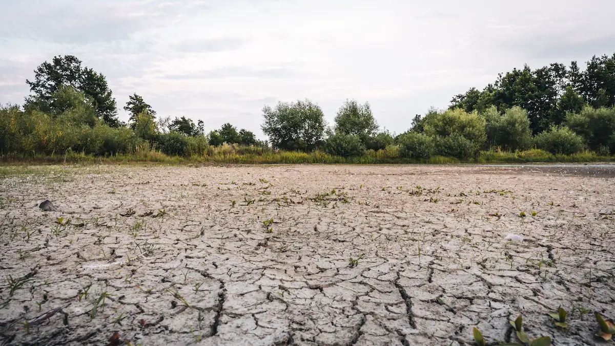 Folgen des Klimawandels in Form einer ausgetrockneten Bodenfläche
