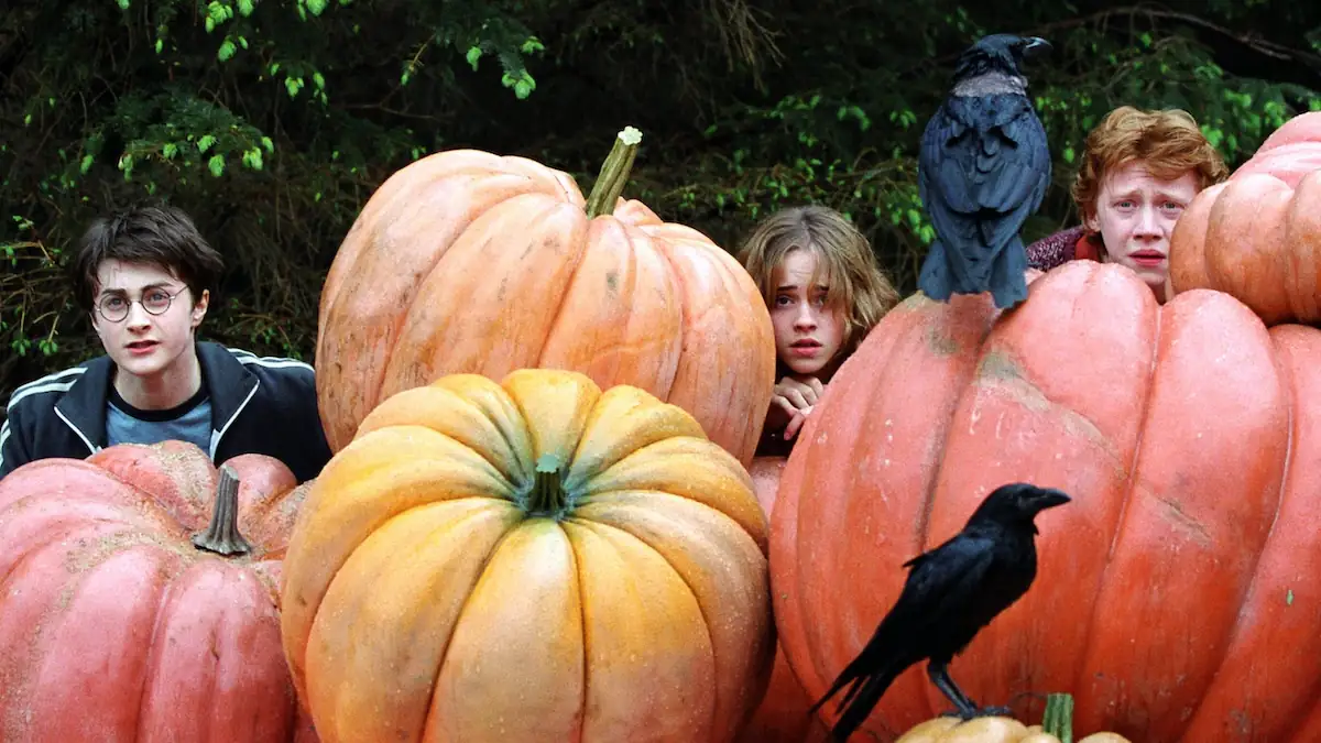 Daniel Radcliffe, Emma Watson und Rupert Grint in einer Szene von „Harry Potter“