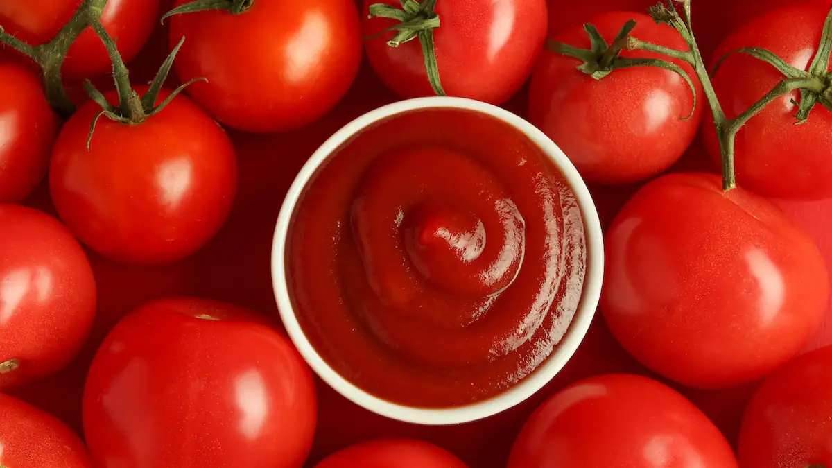 Kleine Schüssel mit Ketchup steht zwischen großen reifen Tomaten