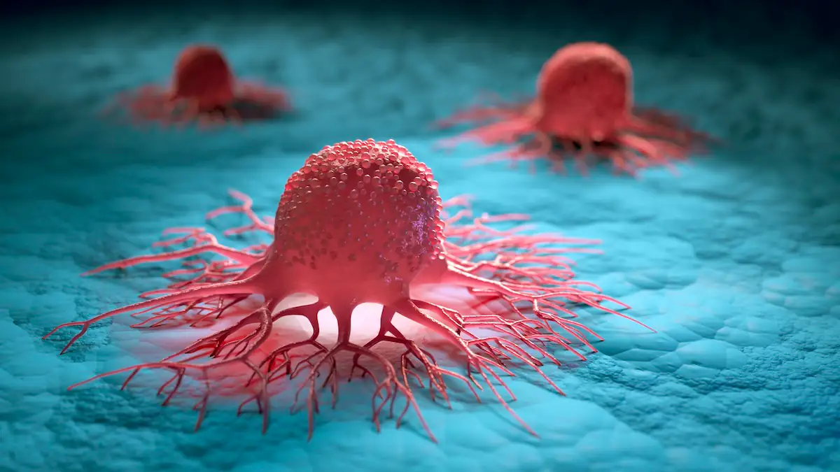 3D Abbildung von Krebszellen