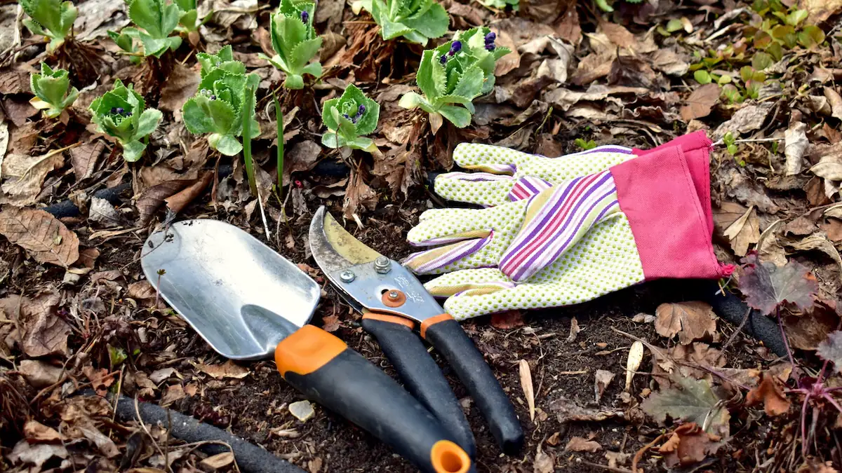 Bauernregel: Gartenarbeit im März