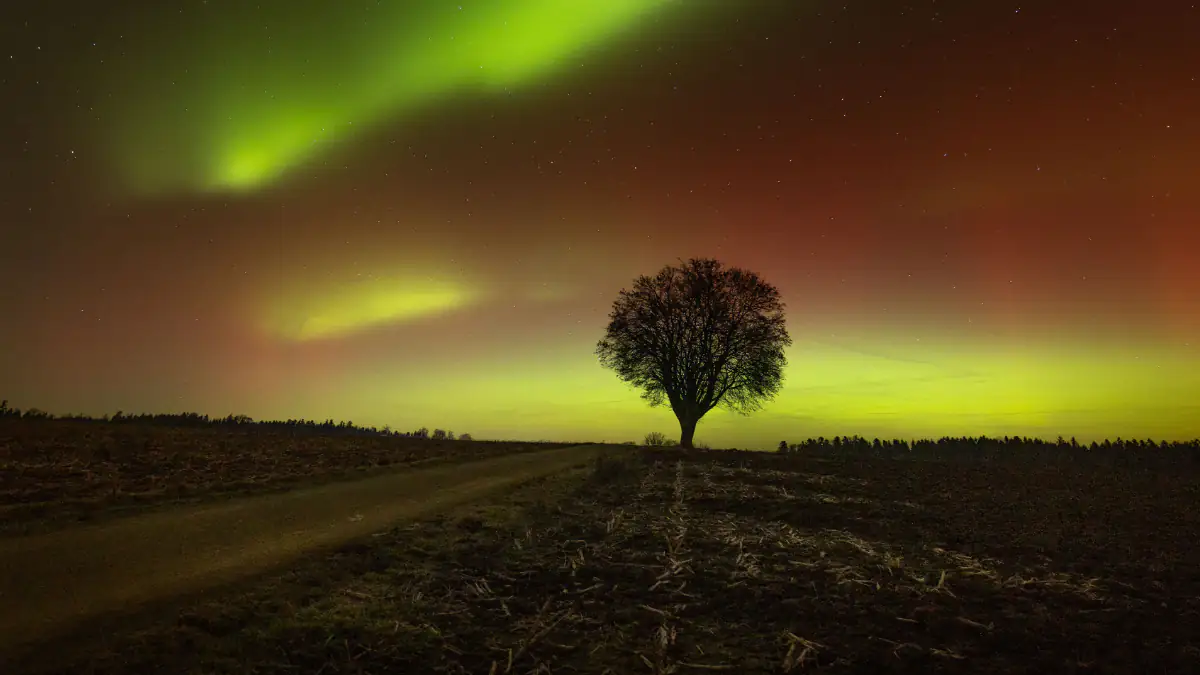 Polarlichter über Deutschland