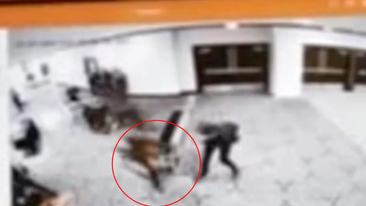 Sicherheitskamera zeigt Schützen beim Dinner mit Donald Trump