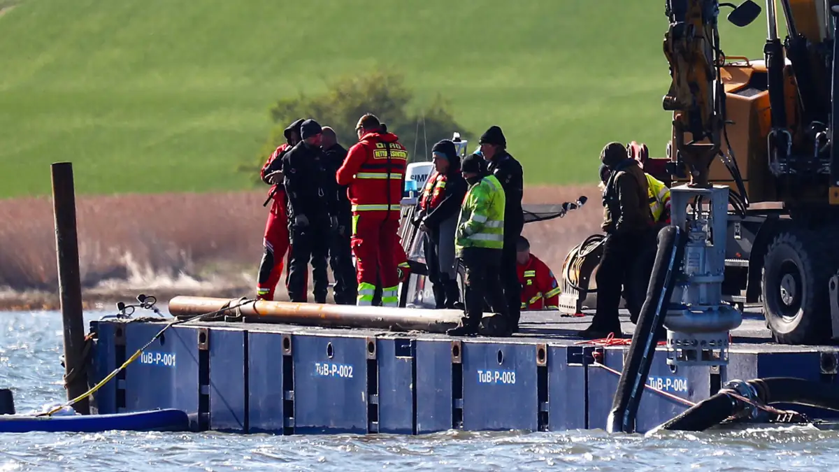 Rettungsaktion für Wal Timmy