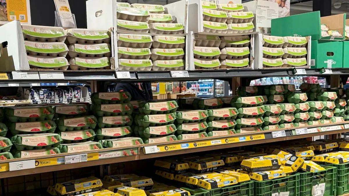 Eier in Kartons im Supermarkt in einem Regal