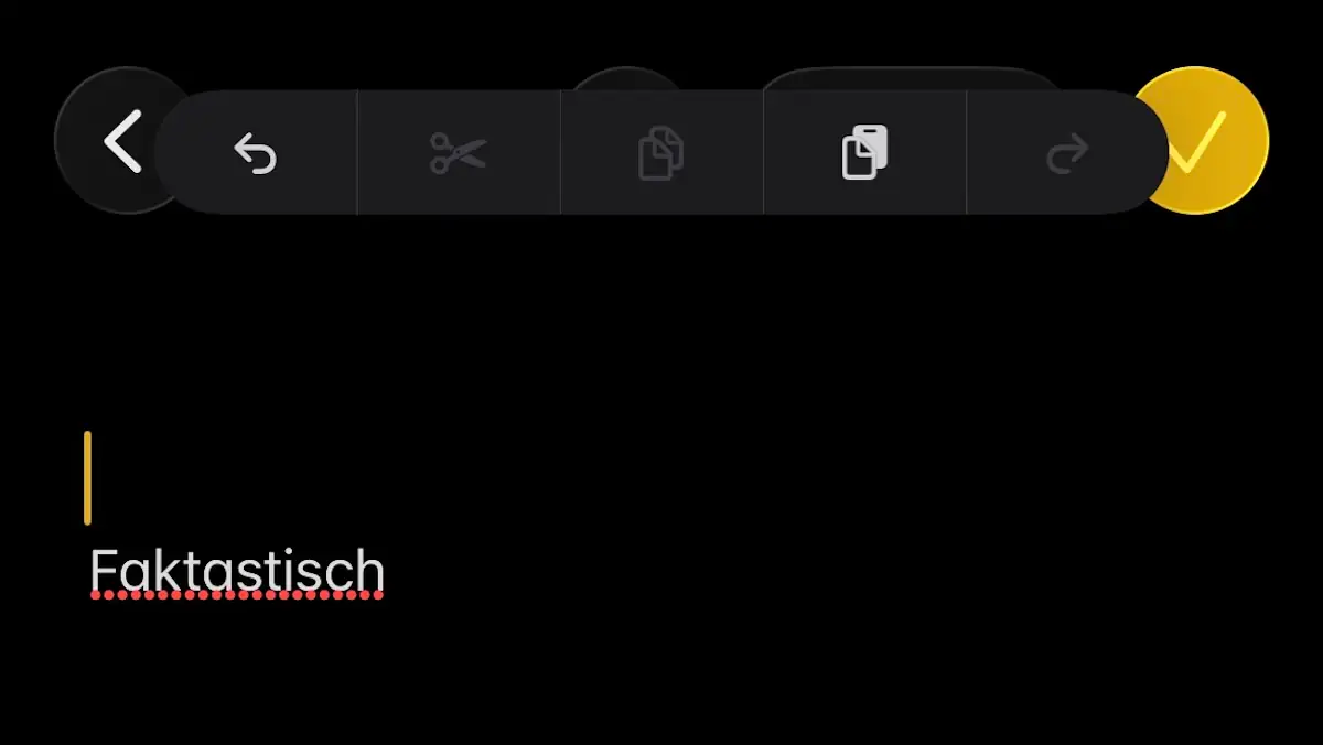 Werkzeugleiste in der Notizen-App auf einem iPhone