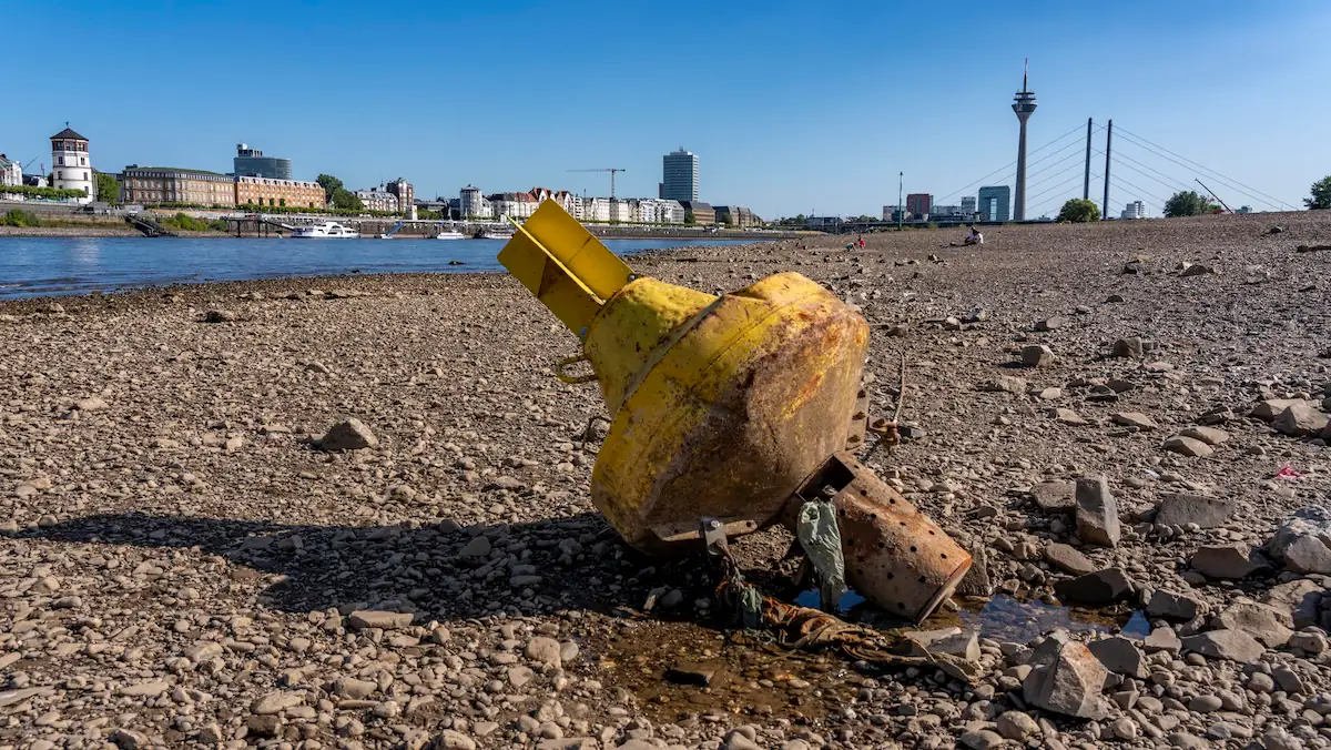 Wasserknappheit: Nahaufnahme einer Boje, die im aktuell trockenen Flussbett des Rheins bei Köln liegt, im Hintergrund die Skyline der Stadt
