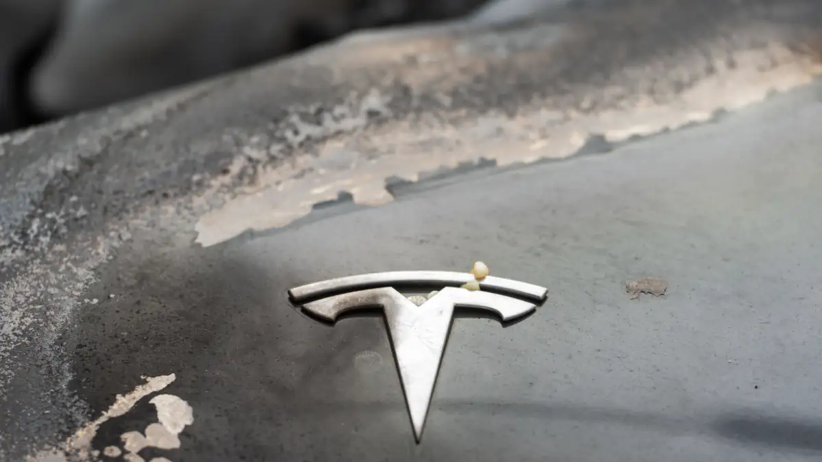 Ein ausgebrannter Tesla in grau