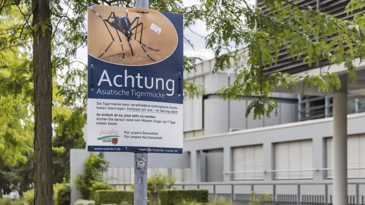 Warnschild vor der asiatischen Tigermücke