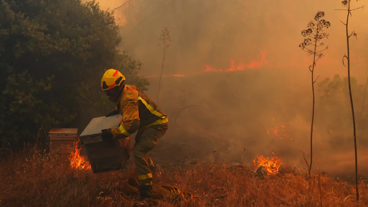 El Nino Symbolbild: Feuerwehrmann versucht Brand zu löschen