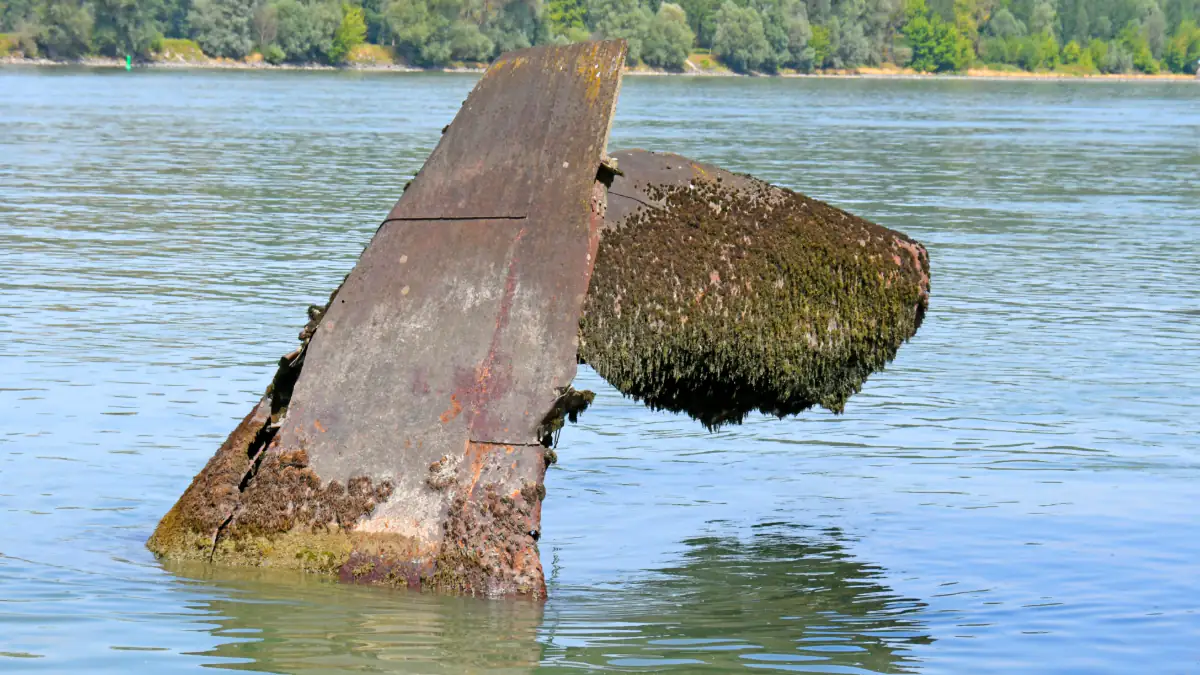 Kriegsschiffe in der Donau