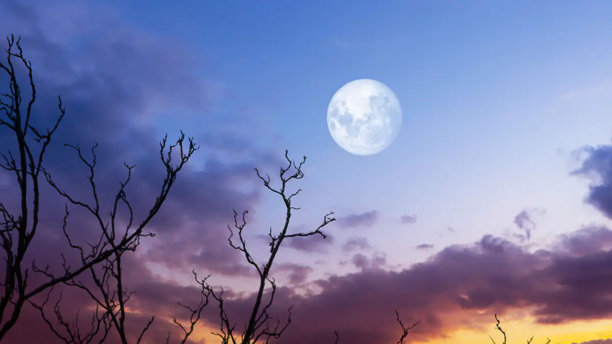 Symbolbild Erntemond: Der Vollmond am Nachthimmel