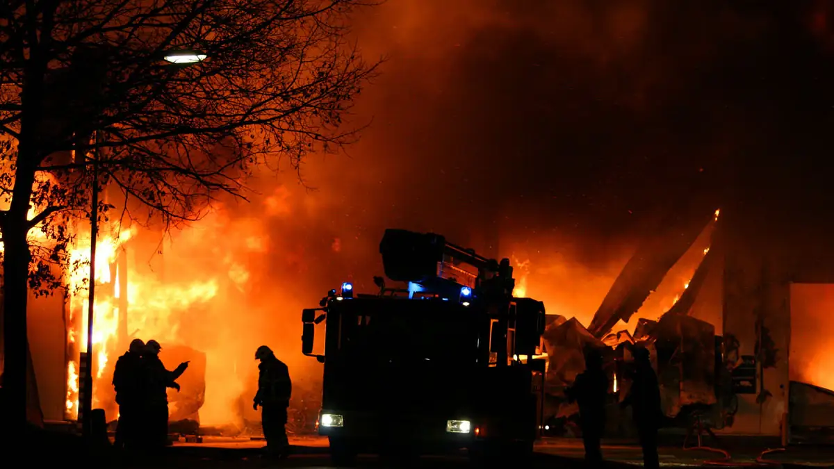 Krefelder Zoo: Mehr als 30 Tiere verbrennen im Affenhaus