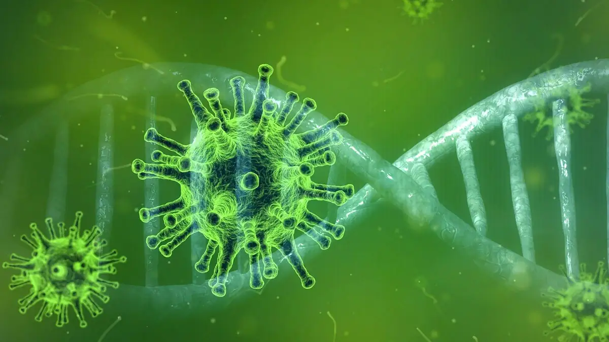 Corona: Online-Rechner berechnet den Termin der Impfung