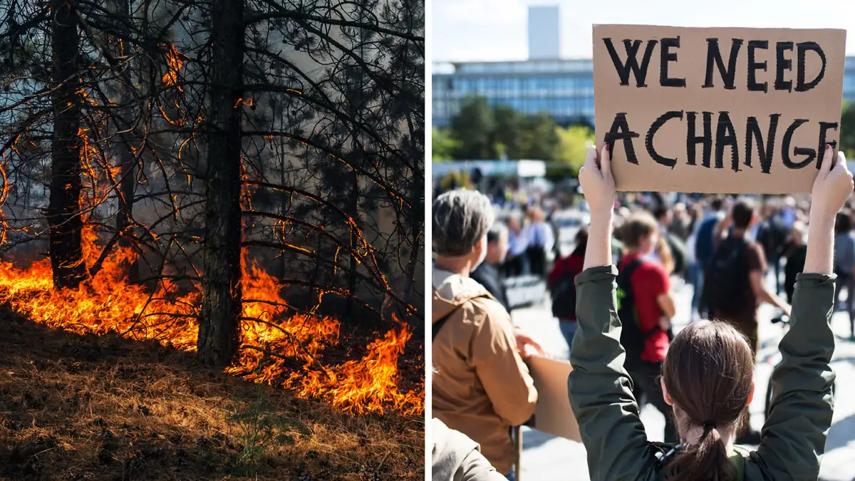 Mehr als 11.000 Wissenschaftler warnen vor einem weltweiten "Klima-Notfall"
