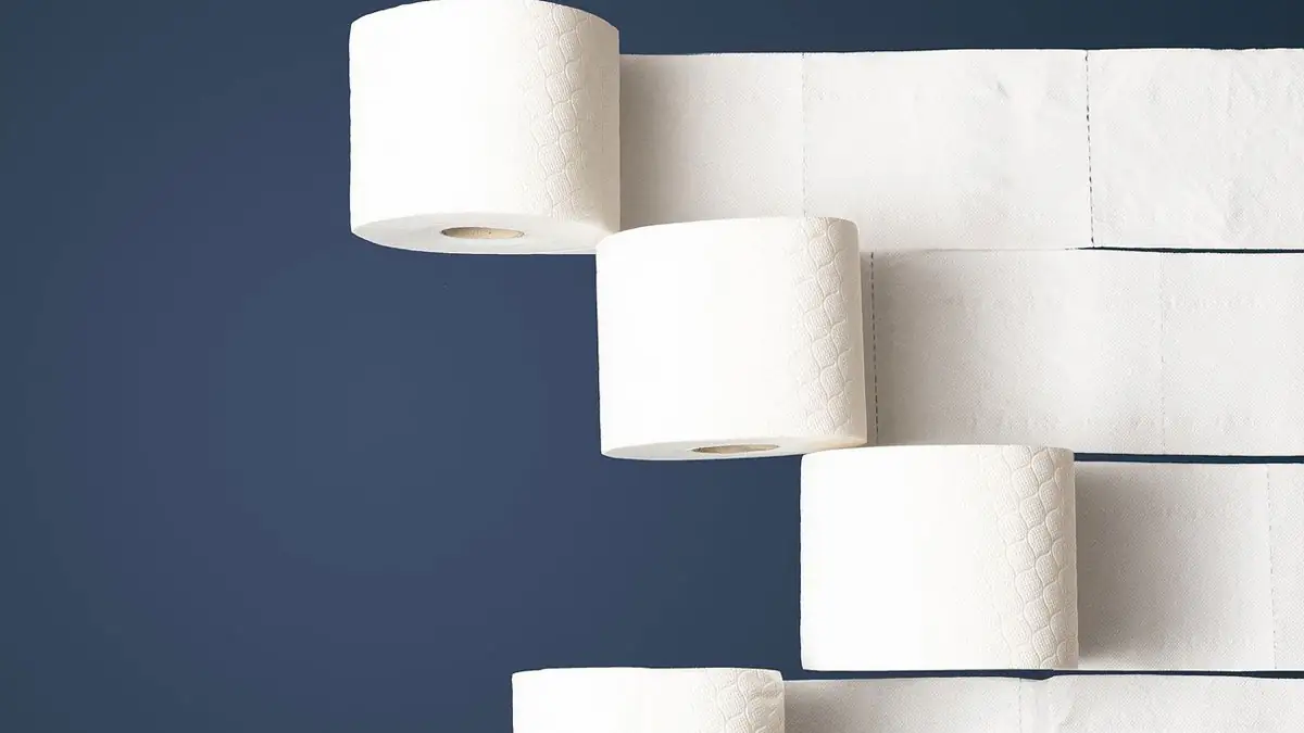 Preiserhöhung: Toilettenpapier soll deutlich teurer werden