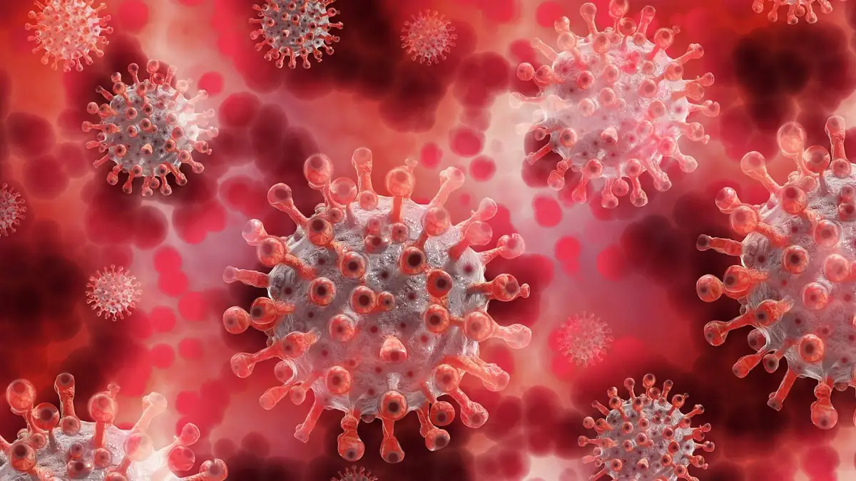 Corona: Neue Mutation entdeckt, die dreimal ansteckender sein soll