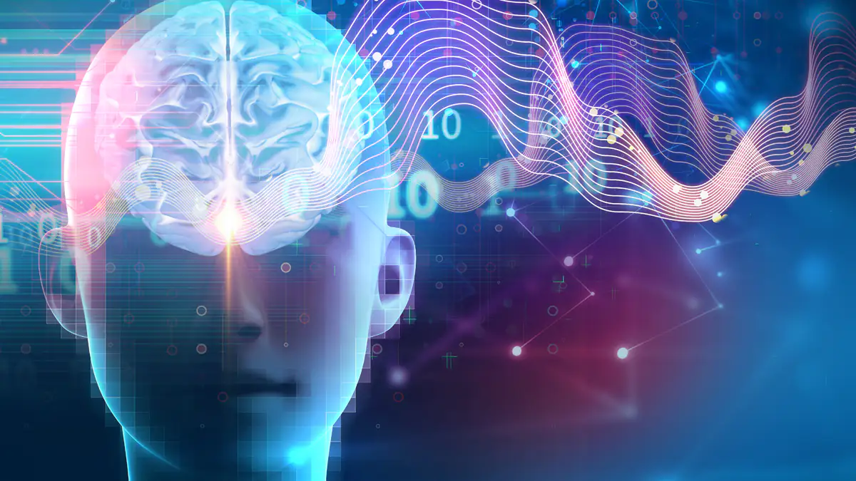 Studie enthüllt: Das passiert im Gehirn, während man schläft