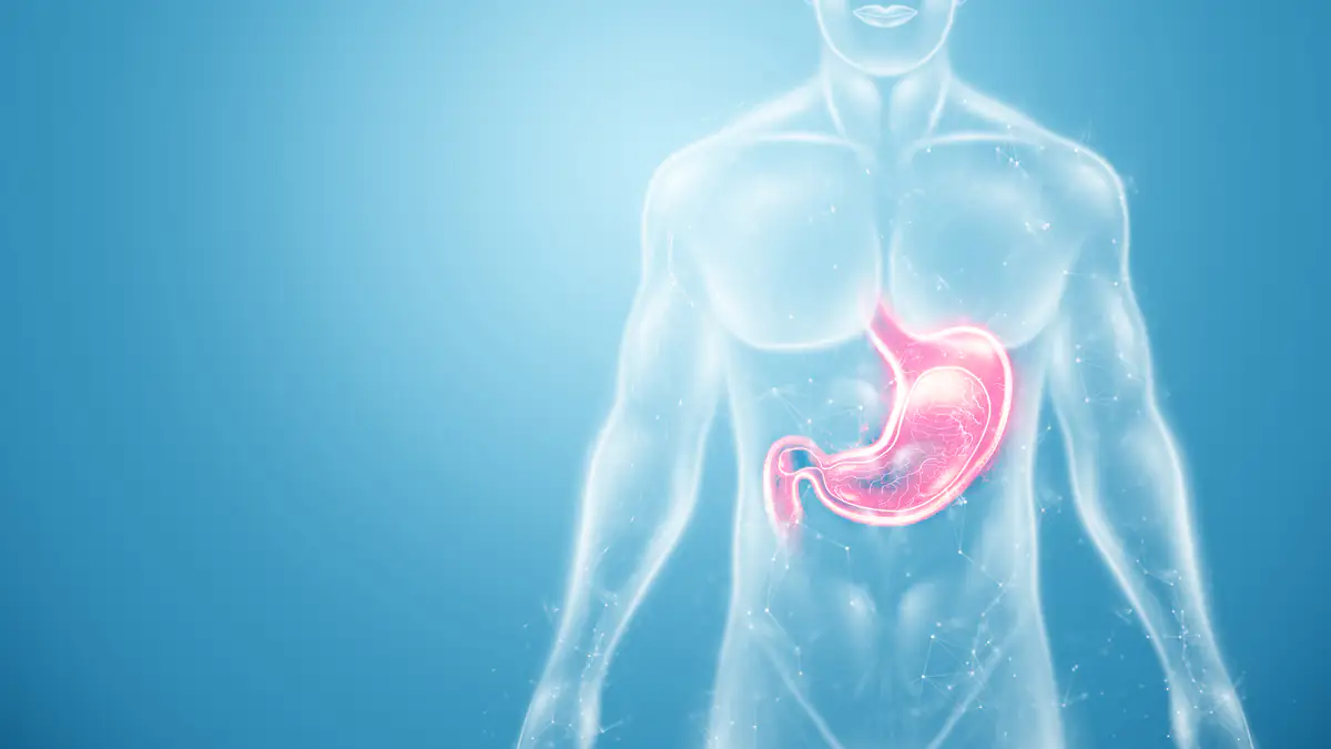 Litauen: Ärzte machen unglaublichen Fund im Magen ihres Patienten