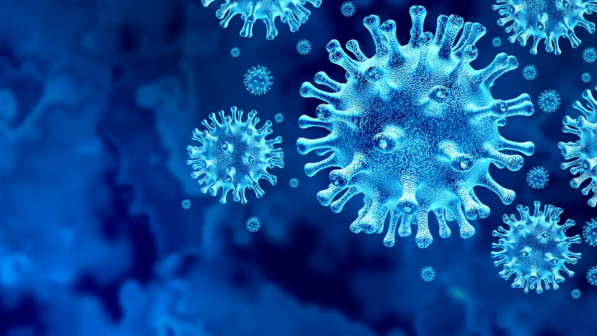 B.1.640.2: Neue Corona-Variante mit mehr Mutationen entdeckt