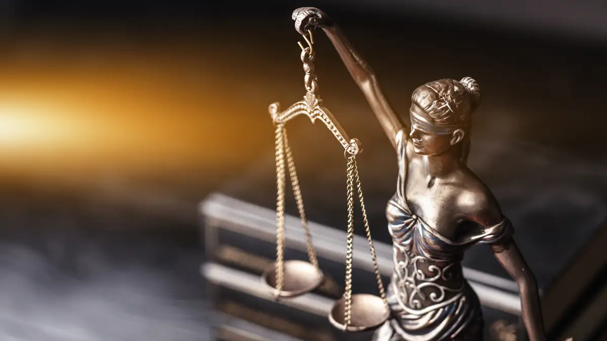 Neue Richtlinien und Gesetze ab Februar 2022