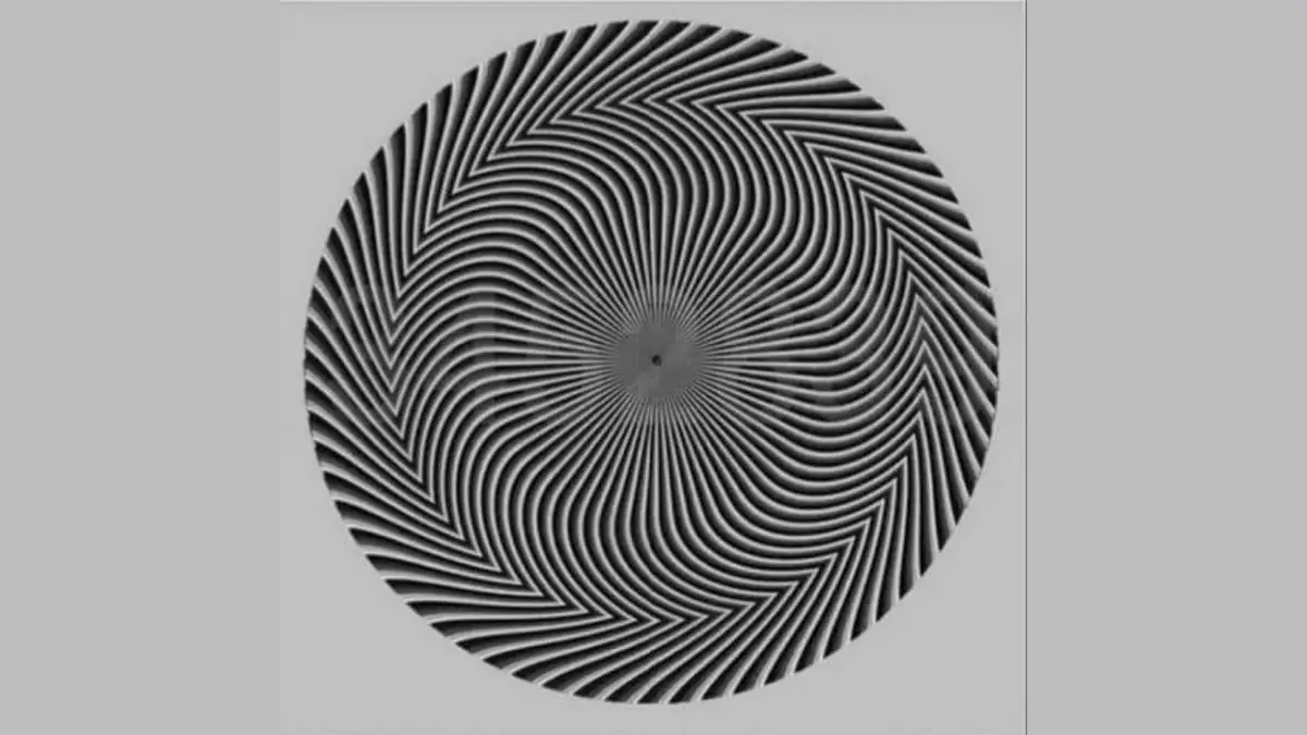 Optische Täuschung: Wie viele Zahlen sind hier zu sehen?