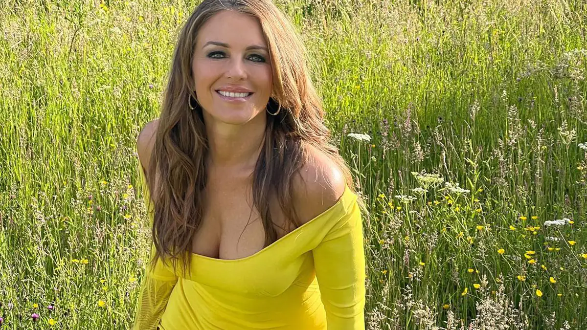 „Atemberaubend“: Liz Hurley im heißen Partykleid auf Instagram