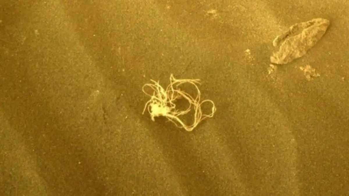 NASA löst Mysterium um seltsame "Weltraum-Spaghetti" auf