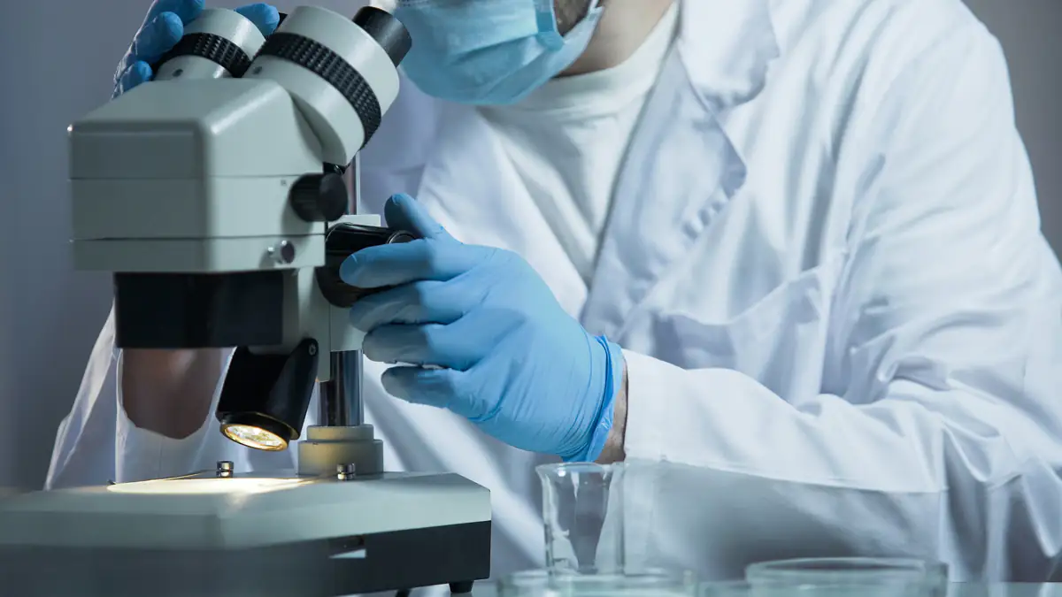 WHO warnt vor 19 lebensbedrohlichen Erregern