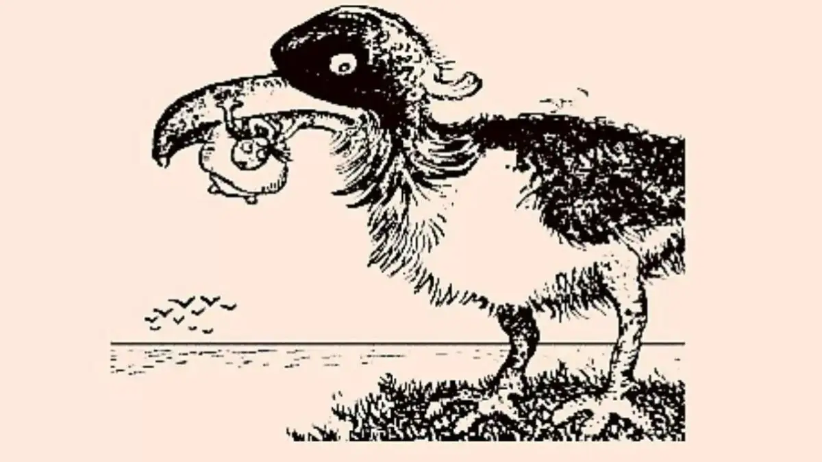 Optische Täuschung: Wer findet den Fisch?