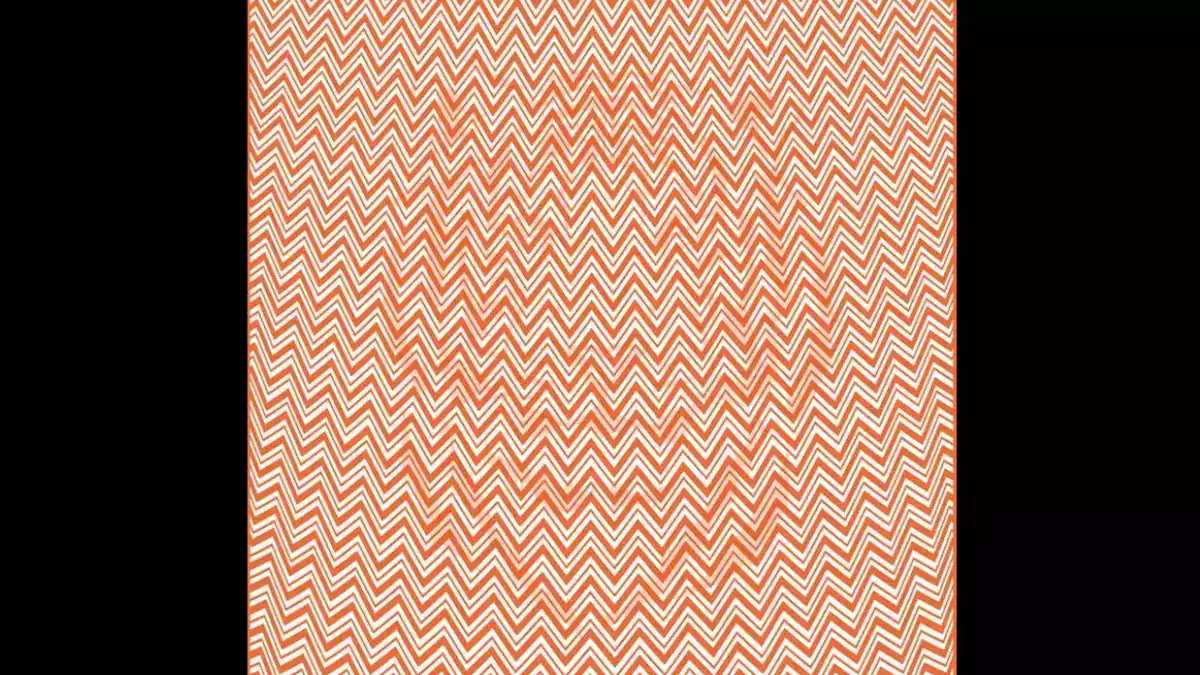 Optische Täuschung: Finde das versteckte Tier in 15 Sekunden