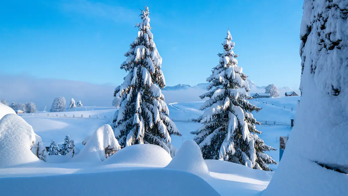 Kehrt der Winter zurück? So wird das Wetter an Weihnachten
