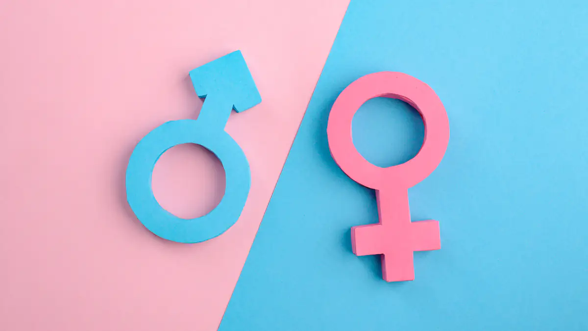 Genderneutrale Ansprache in Berliner Zeugnissen gefordert