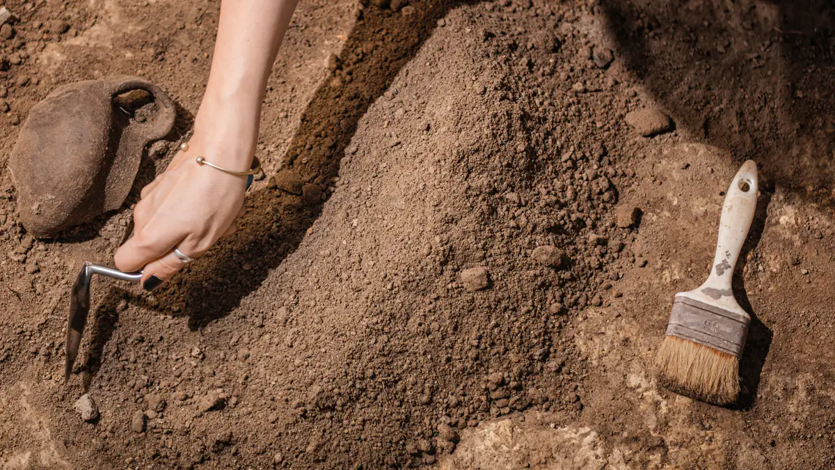 Fund in England: 6000 Jahre alte Gravur gibt Forschern Rätsel auf