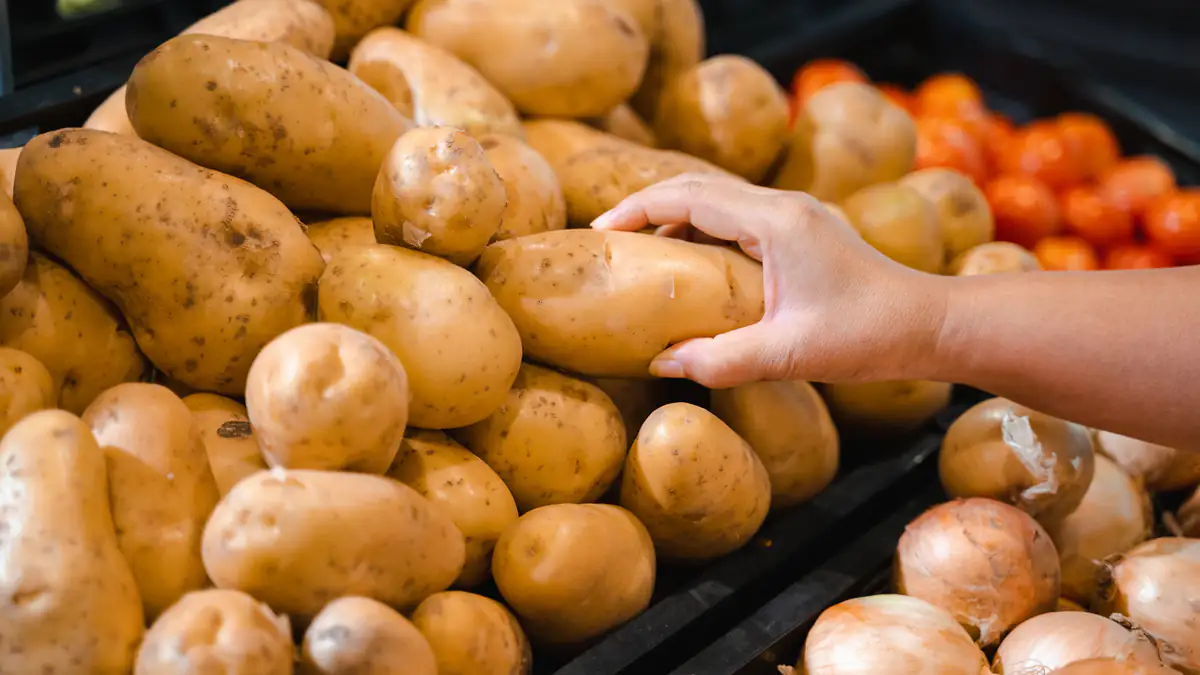 Warnung vor Kartoffeln: Großer Rückruf in mehreren Bundesländern gestartet