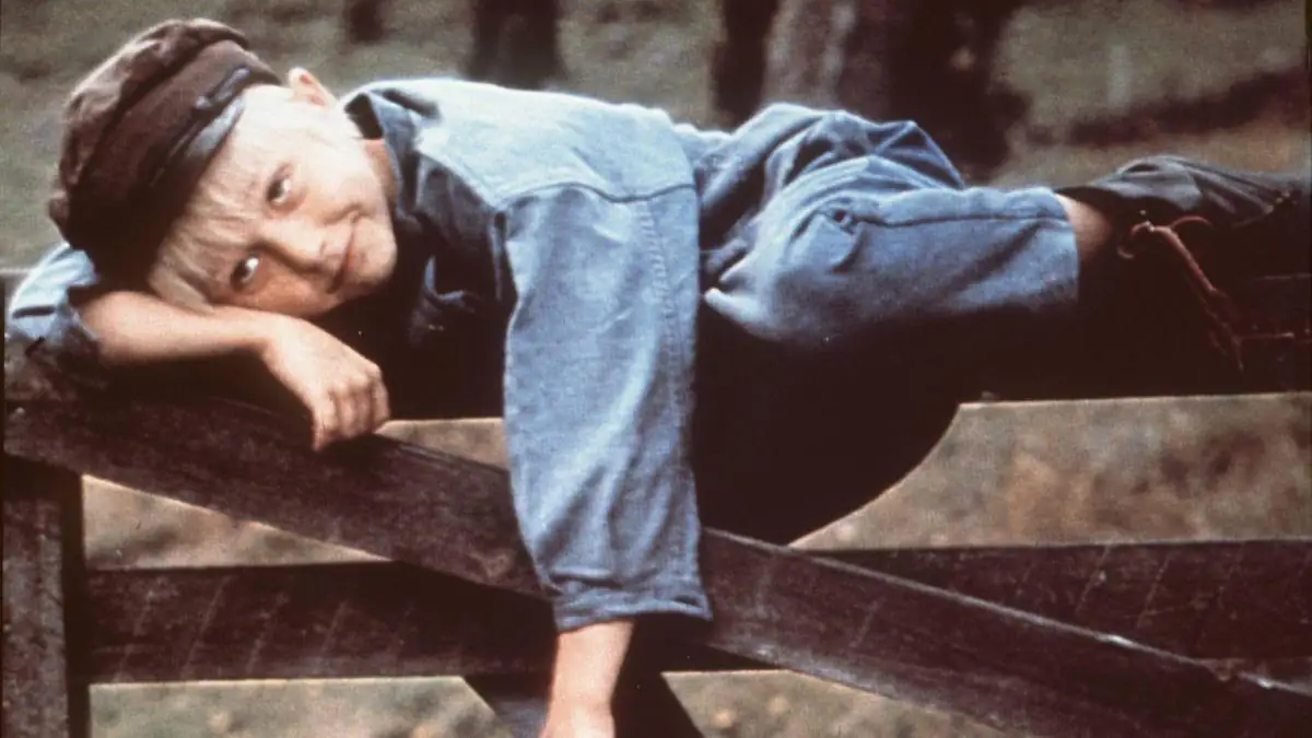 Astrid Lindgren: Was wurde aus Michel aus Lönneberga?