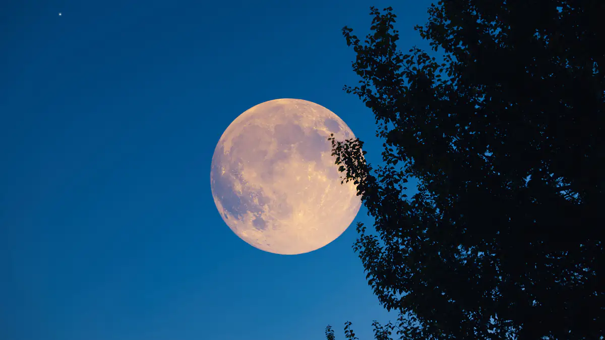 „Pink Moon“: Der April-Vollmond hat eine besondere Bedeutung