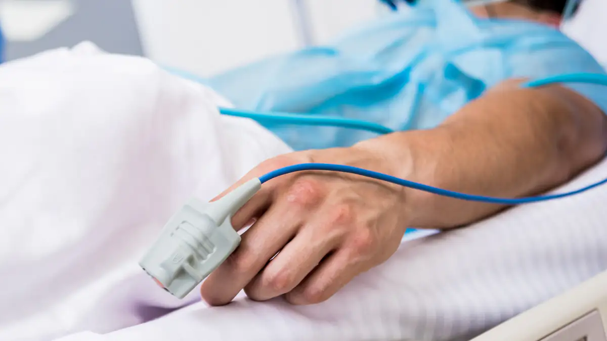 Gefährliches Borna-Virus: Mann aus Bayern nach Infektion verstorben