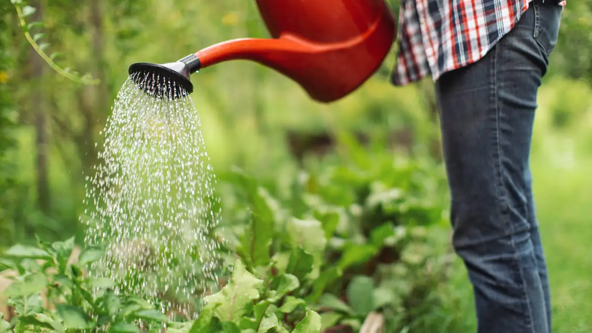 Erste Städte führen hohes Bußgeld ein: Wer das tut, riskiert im Sommer Geldstrafen